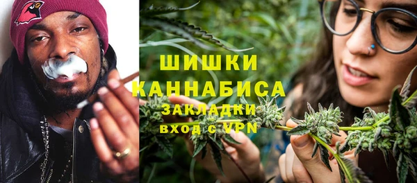 СК Бронницы