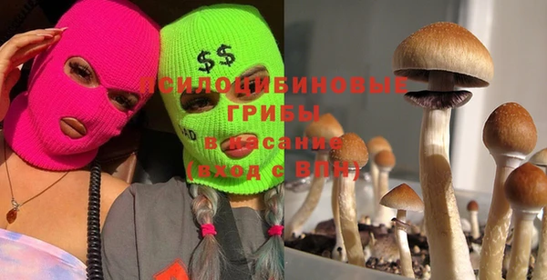 прущий лед Семилуки