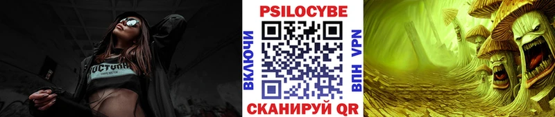 купить наркотик  Темников  мега зеркало  Псилоцибиновые грибы Magic Shrooms 